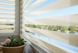 Roller Shades vs Cellular Shades