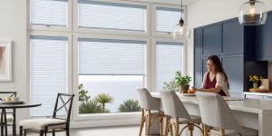 Honeycomb Shades