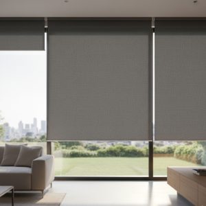 solar shades